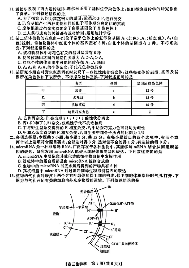 金科大联考&middot;2025届高三9月质量检测生物试卷_2024-2025高三（6-6月题库）_2024年09月试卷_0930河北省金科大联考2025届高三9月质量检测_金科大联考&middot;2025届高三9月质量检测生物