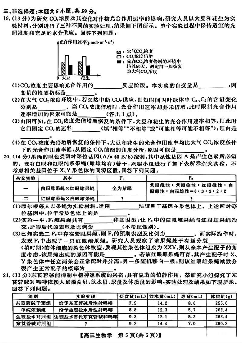 金科大联考&middot;2025届高三9月质量检测生物试卷_2024-2025高三（6-6月题库）_2024年09月试卷_0930河北省金科大联考2025届高三9月质量检测_金科大联考&middot;2025届高三9月质量检测生物