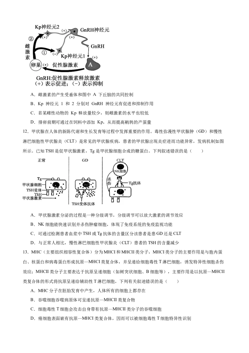 辽宁省辽西重点高中2025-2026学年高二上学期期中考试生物试题_251213辽宁省辽西重点高中2025-2026学年高二上学期期中（全）