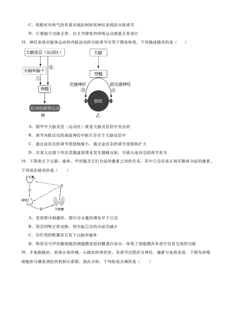 辽宁省辽西重点高中2025-2026学年高二上学期期中考试生物试题_251213辽宁省辽西重点高中2025-2026学年高二上学期期中（全）