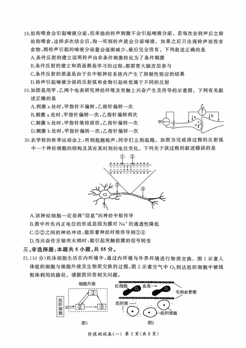 黑龙江省双鸭山市部分学校2025-2026学年高二上学期9月月考生物试题_2025年10月高二试卷_251003黑龙江省双鸭山市部分学校2025-2026学年高二上学期9月月考