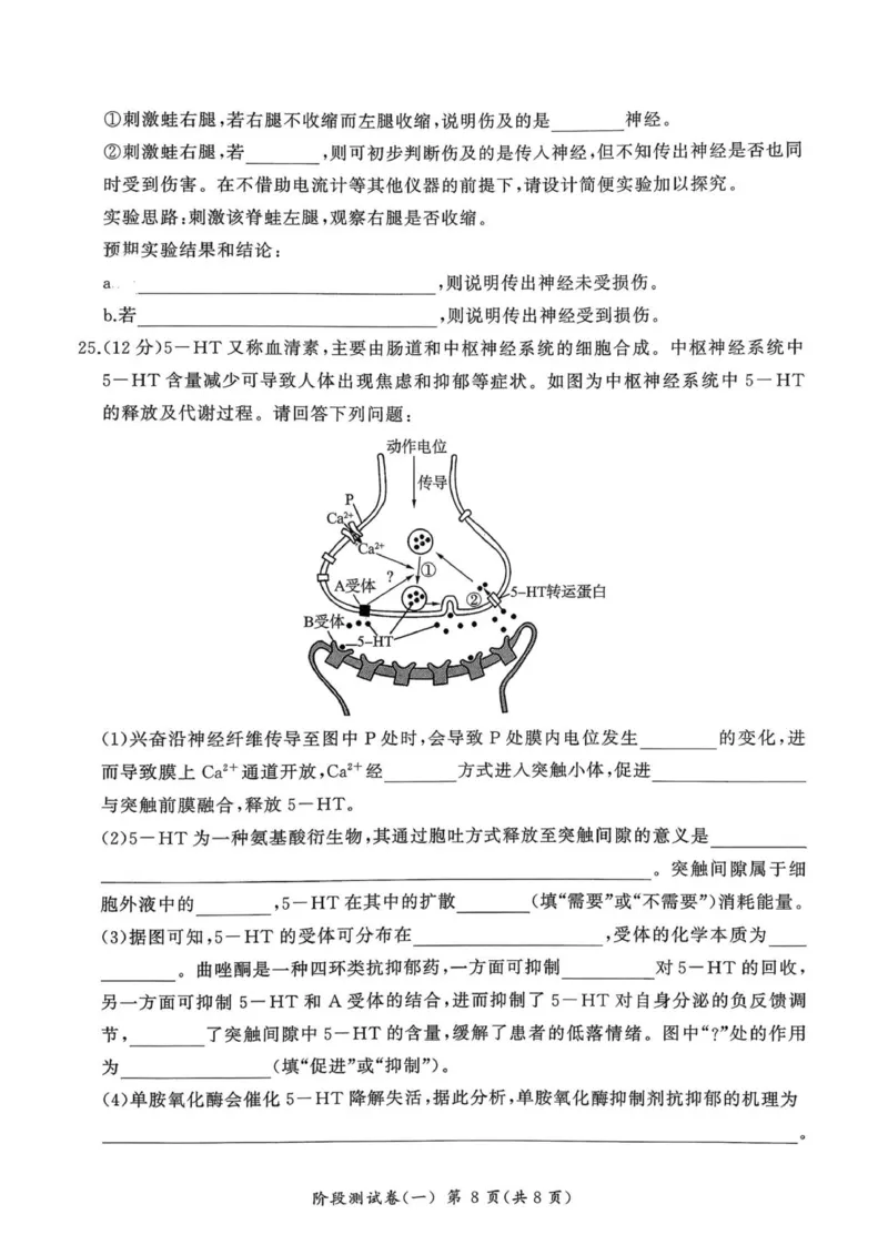 黑龙江省双鸭山市部分学校2025-2026学年高二上学期9月月考生物试题_2025年10月高二试卷_251003黑龙江省双鸭山市部分学校2025-2026学年高二上学期9月月考
