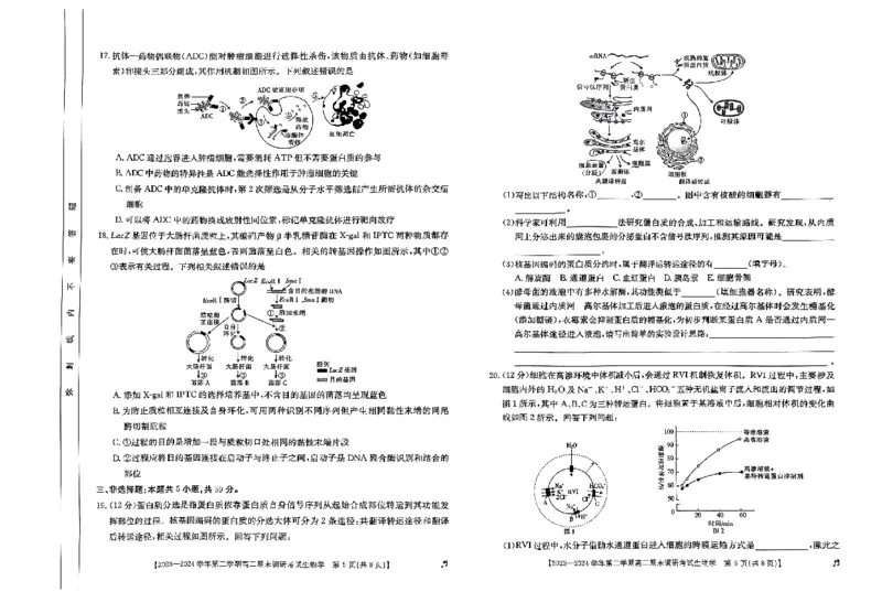 高二生物_2024-2025高二（7-7月题库）_2024年07月试卷_0711河北省保定市2023-2024学年高二下学期7月期末考试（金太阳♬）_高二生物