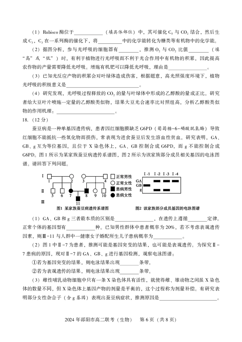 高二联考生物_2024-2025高二（7-7月题库）_2024年07月试卷_0707湖南省邵阳市2023-2024学年高二下学期7月期末联考_湖南省邵阳市2023-2024学年高二下学期7月期末联考生物