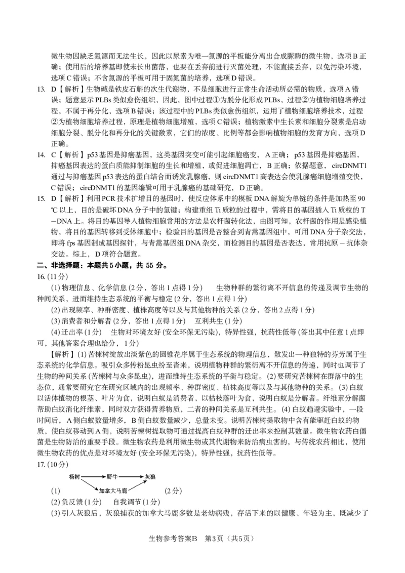 生物答案B&middot;2025年5月高二阶段考_2024-2025高二（7-7月题库）_2025年6月试卷_0609安徽省金榜教育2024-2025学年高二下学期五月份阶段性考试