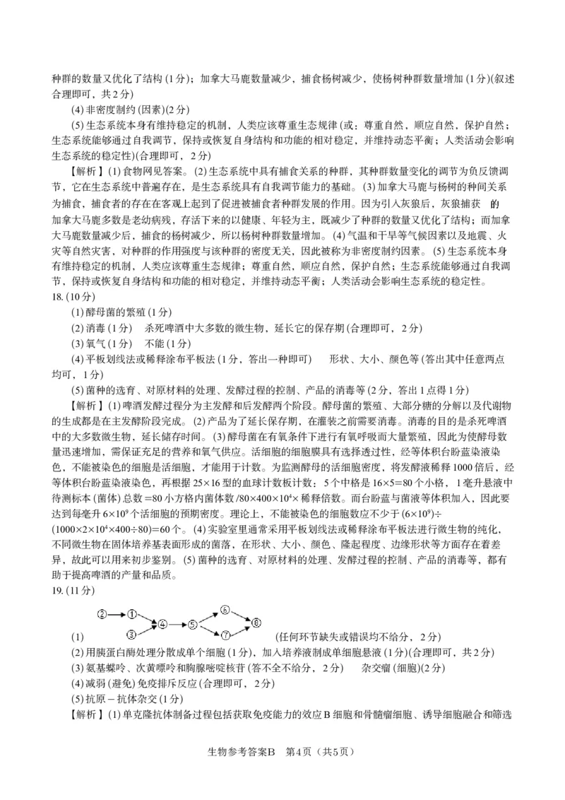 生物答案B&middot;2025年5月高二阶段考_2024-2025高二（7-7月题库）_2025年6月试卷_0609安徽省金榜教育2024-2025学年高二下学期五月份阶段性考试