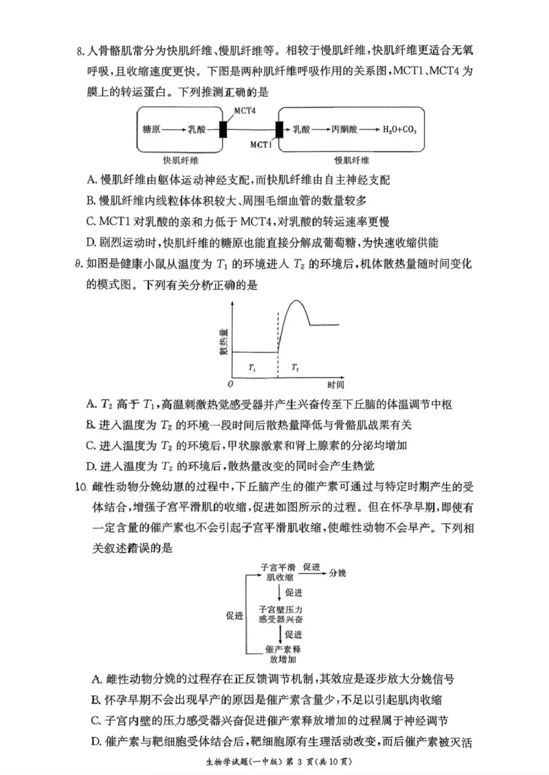 湖南省长沙市第一中学2025-2026学年高二上学期10月月考生物试题扫描版含解析_2025年10月高二试卷_251024湖南省长沙市第一中学2025-2026学年高二上学期10月月考（全）