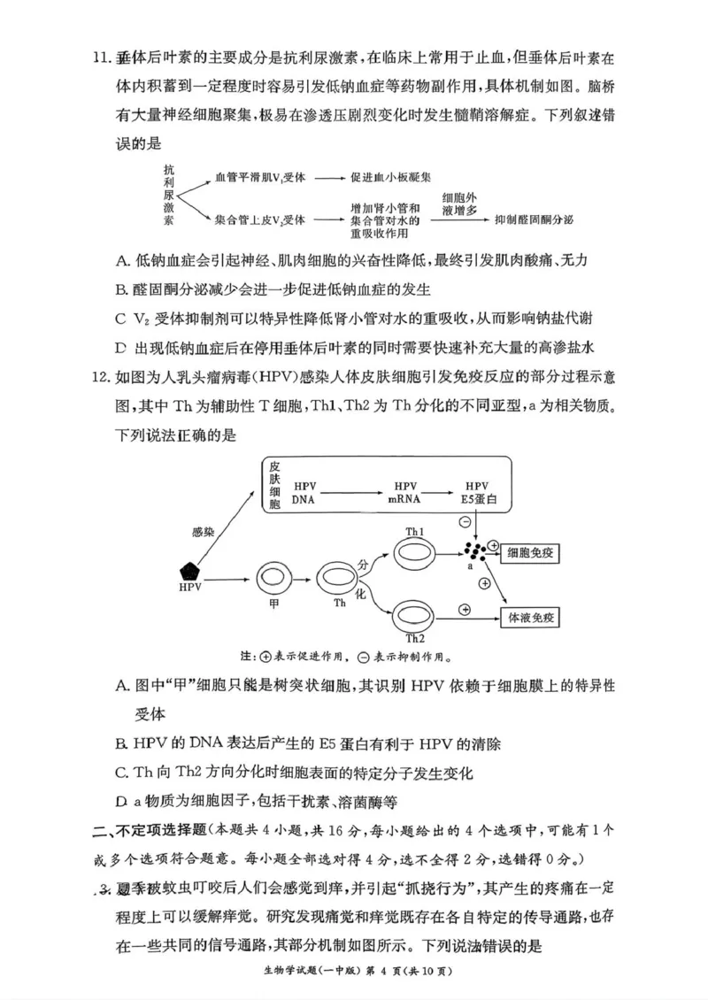 湖南省长沙市第一中学2025-2026学年高二上学期10月月考生物试题扫描版含解析_2025年10月高二试卷_251024湖南省长沙市第一中学2025-2026学年高二上学期10月月考（全）