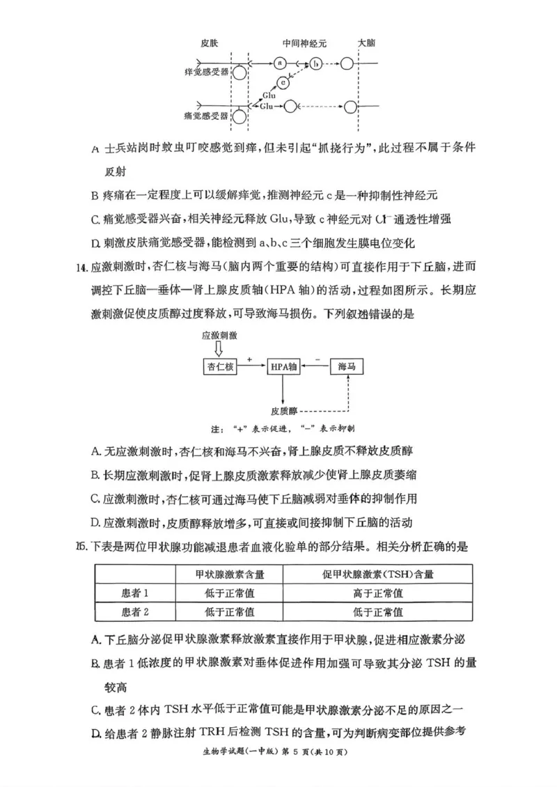 湖南省长沙市第一中学2025-2026学年高二上学期10月月考生物试题扫描版含解析_2025年10月高二试卷_251024湖南省长沙市第一中学2025-2026学年高二上学期10月月考（全）
