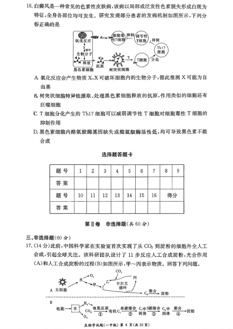 湖南省长沙市第一中学2025-2026学年高二上学期10月月考生物试题扫描版含解析_2025年10月高二试卷_251024湖南省长沙市第一中学2025-2026学年高二上学期10月月考（全）
