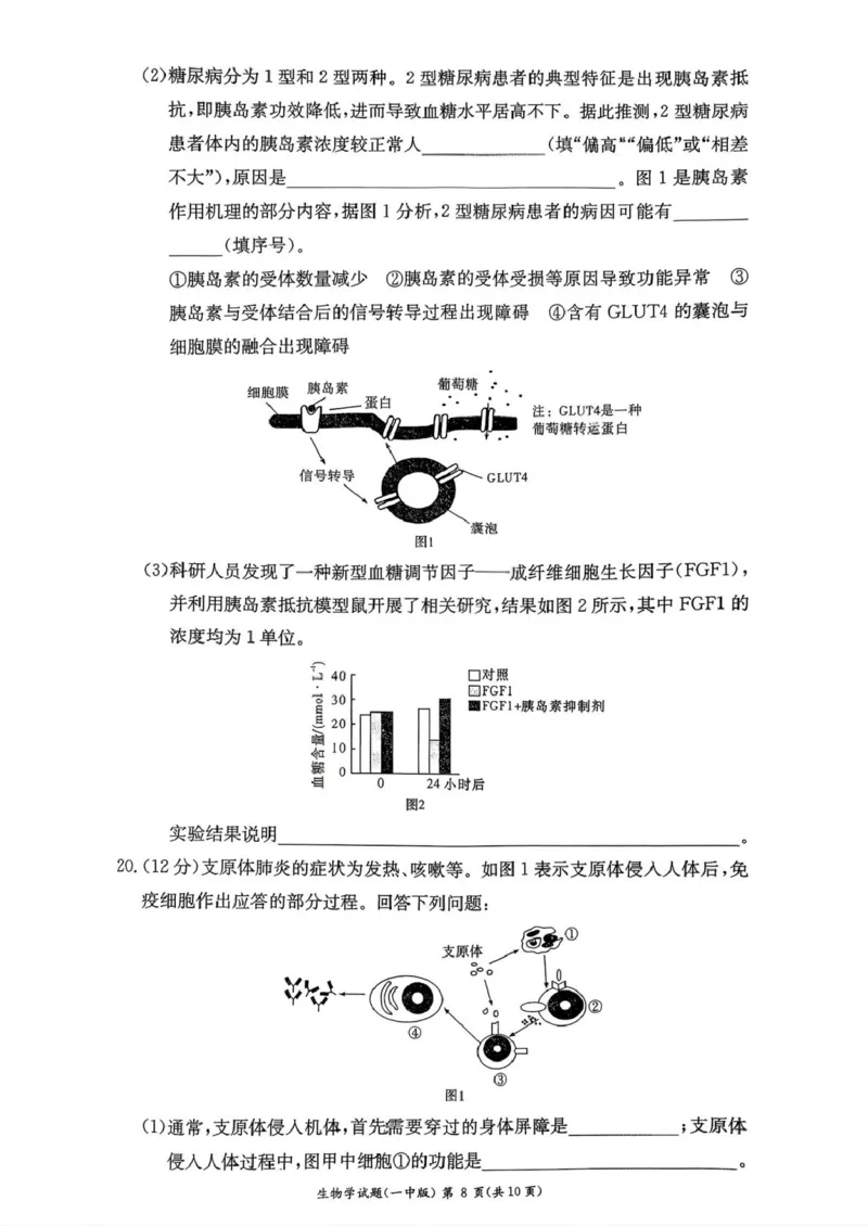 湖南省长沙市第一中学2025-2026学年高二上学期10月月考生物试题扫描版含解析_2025年10月高二试卷_251024湖南省长沙市第一中学2025-2026学年高二上学期10月月考（全）