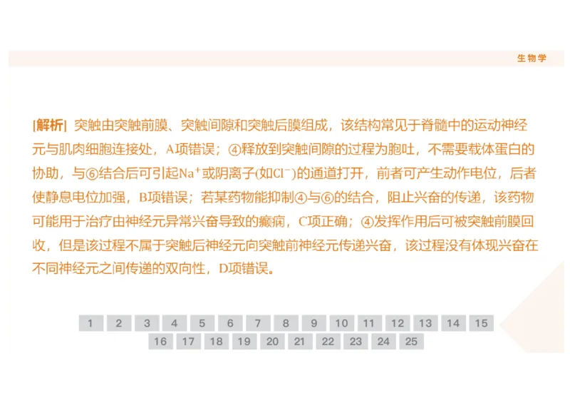 辽宁省点石联考2025-2026学年高二上学期10月月考生物试题含答案_2025年10月高二试卷_251013辽宁省点石联考2025-2026学年高二上学期10月月考