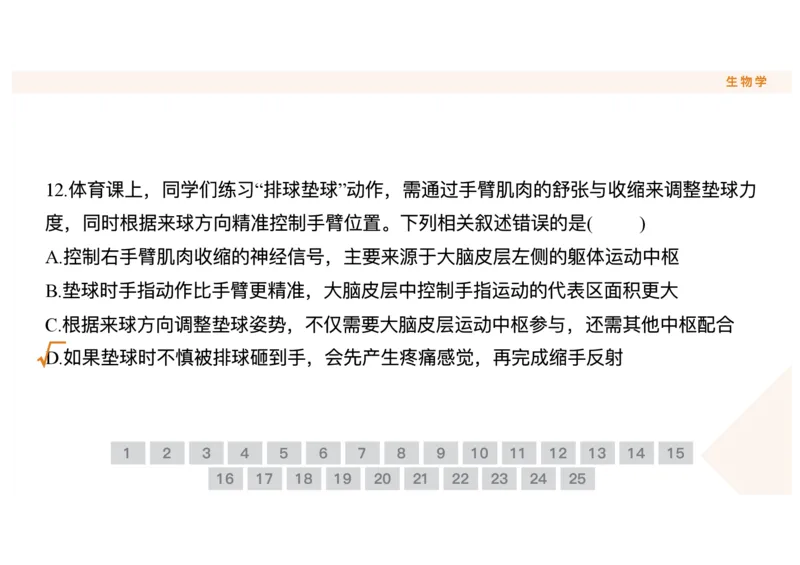 辽宁省点石联考2025-2026学年高二上学期10月月考生物试题含答案_2025年10月高二试卷_251013辽宁省点石联考2025-2026学年高二上学期10月月考