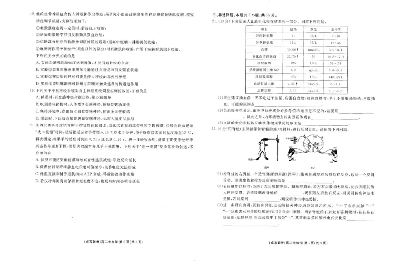 辽宁省点石联考2025-2026学年高二上学期10月月考生物试题含答案_2025年10月高二试卷_251013辽宁省点石联考2025-2026学年高二上学期10月月考