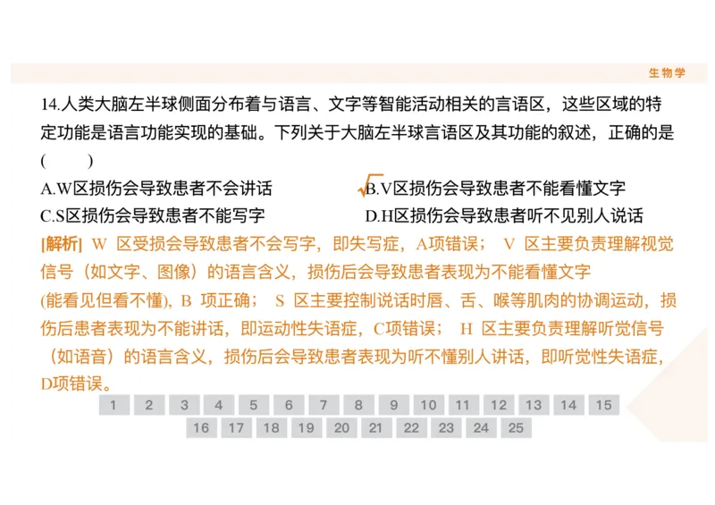 辽宁省点石联考2025-2026学年高二上学期10月月考生物试题含答案_2025年10月高二试卷_251013辽宁省点石联考2025-2026学年高二上学期10月月考