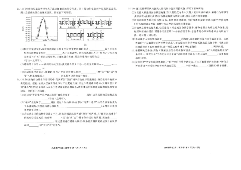 辽宁省点石联考2025-2026学年高二上学期10月月考生物试题含答案_2025年10月高二试卷_251013辽宁省点石联考2025-2026学年高二上学期10月月考