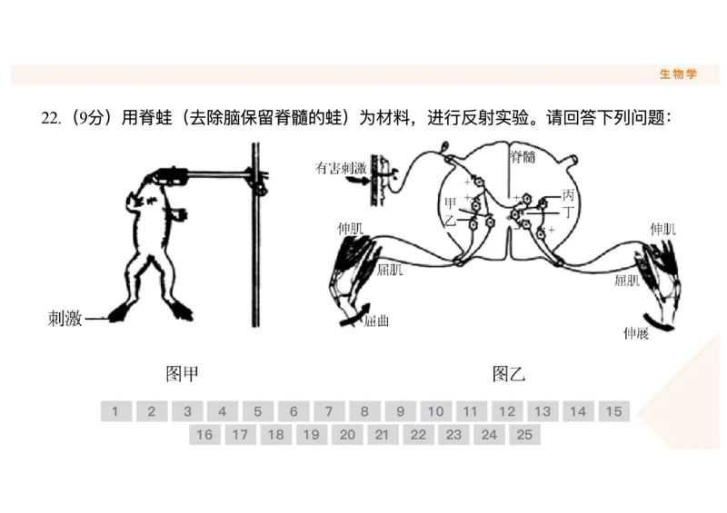 辽宁省点石联考2025-2026学年高二上学期10月月考生物试题含答案_2025年10月高二试卷_251013辽宁省点石联考2025-2026学年高二上学期10月月考