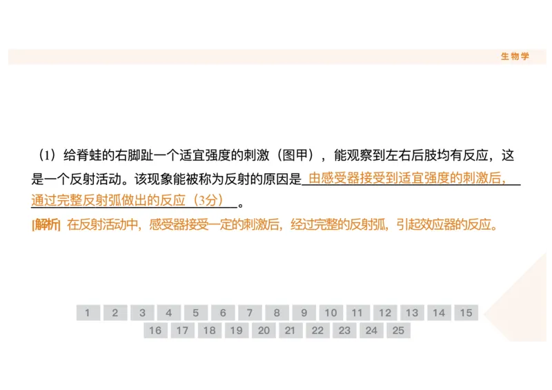 辽宁省点石联考2025-2026学年高二上学期10月月考生物试题含答案_2025年10月高二试卷_251013辽宁省点石联考2025-2026学年高二上学期10月月考