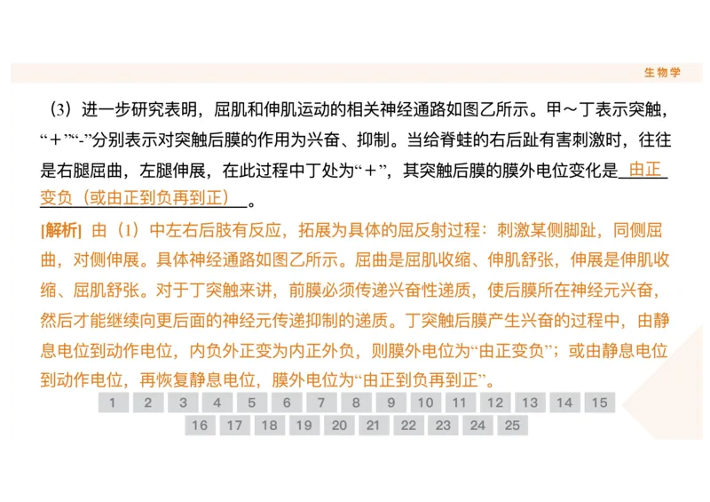 辽宁省点石联考2025-2026学年高二上学期10月月考生物试题含答案_2025年10月高二试卷_251013辽宁省点石联考2025-2026学年高二上学期10月月考