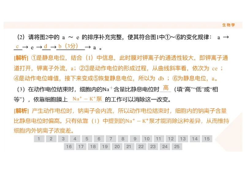 辽宁省点石联考2025-2026学年高二上学期10月月考生物试题含答案_2025年10月高二试卷_251013辽宁省点石联考2025-2026学年高二上学期10月月考