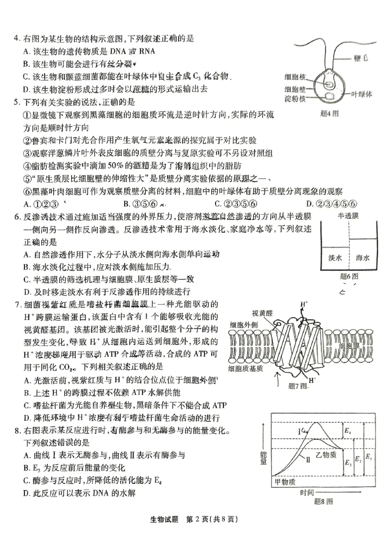 生物试卷_2024-2025高三（6-6月题库）_2024年09月试卷_0910重庆市南开中学校2024-2025学年高三上学期第一次质量检测_重庆市南开中学校2024-2025学年高三上学期第一次质量检测生物