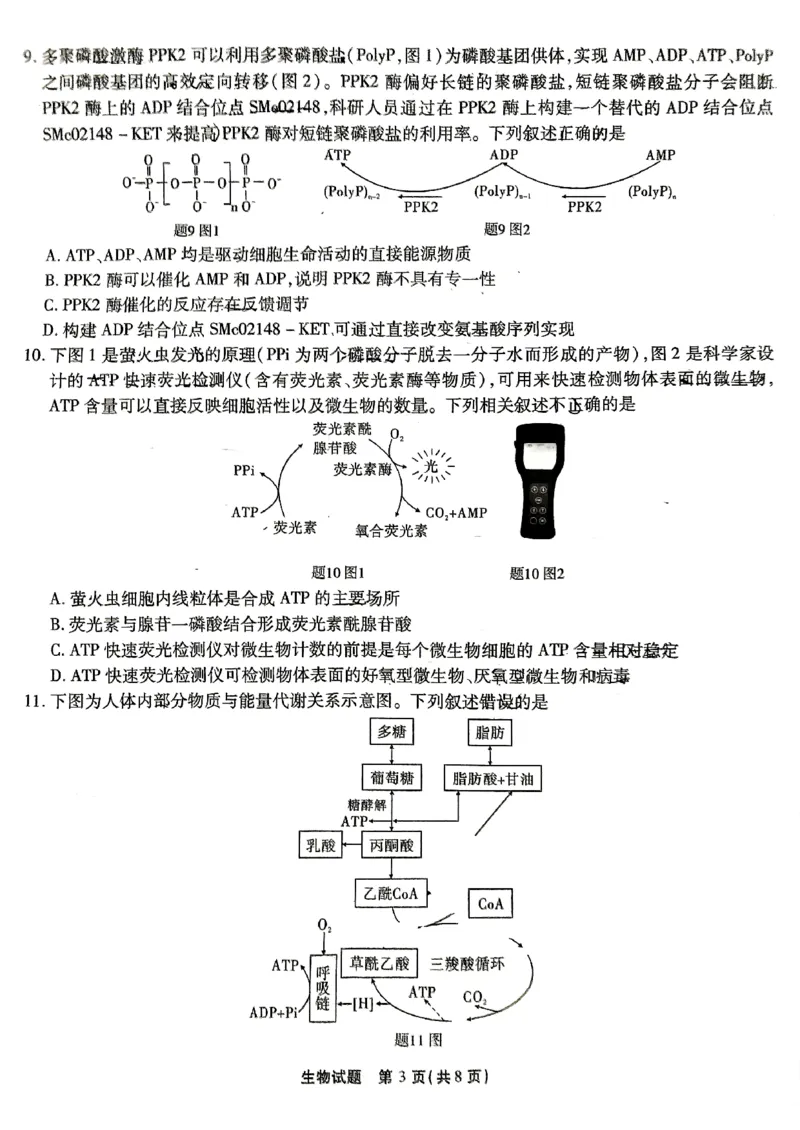 生物试卷_2024-2025高三（6-6月题库）_2024年09月试卷_0910重庆市南开中学校2024-2025学年高三上学期第一次质量检测_重庆市南开中学校2024-2025学年高三上学期第一次质量检测生物