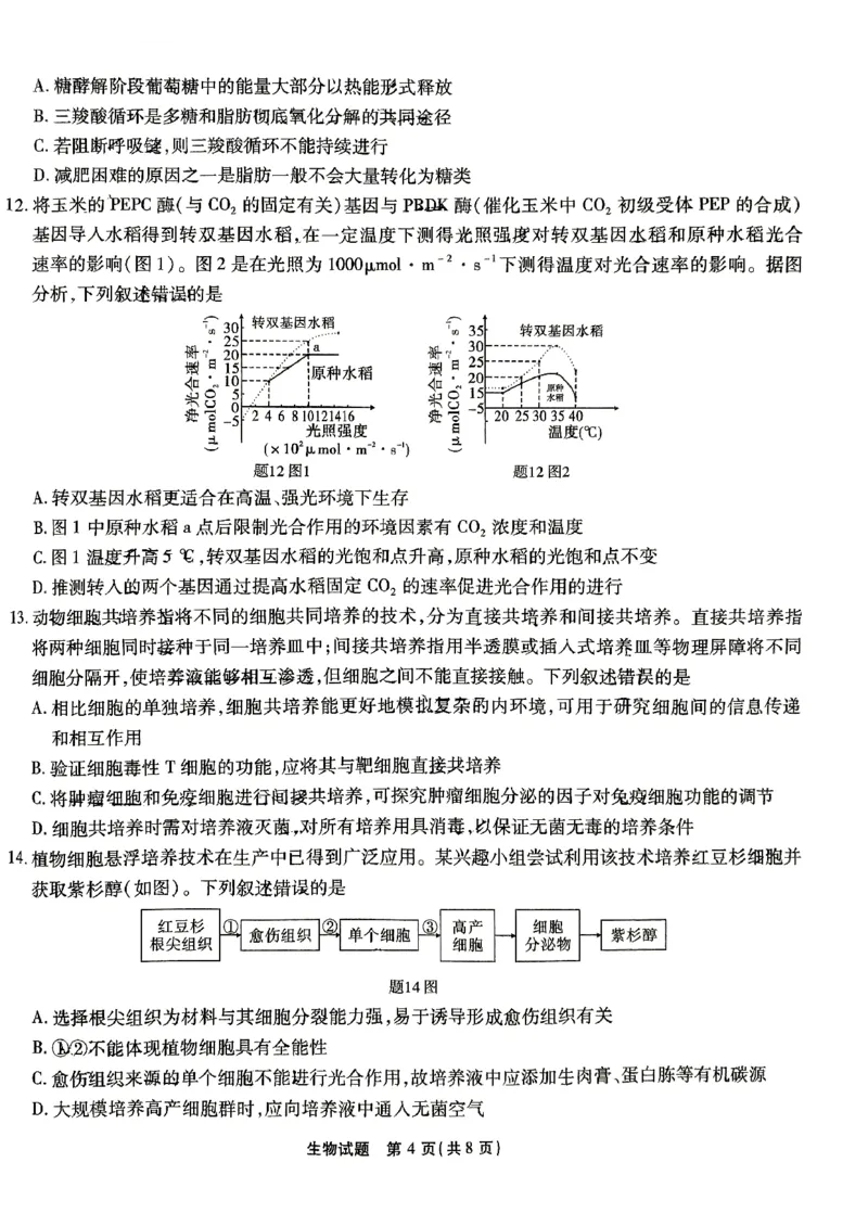 生物试卷_2024-2025高三（6-6月题库）_2024年09月试卷_0910重庆市南开中学校2024-2025学年高三上学期第一次质量检测_重庆市南开中学校2024-2025学年高三上学期第一次质量检测生物