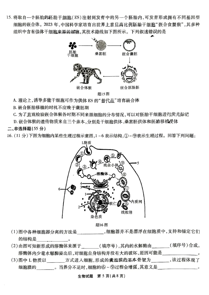 生物试卷_2024-2025高三（6-6月题库）_2024年09月试卷_0910重庆市南开中学校2024-2025学年高三上学期第一次质量检测_重庆市南开中学校2024-2025学年高三上学期第一次质量检测生物