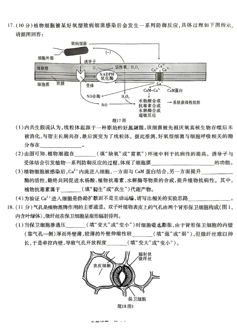 生物试卷_2024-2025高三（6-6月题库）_2024年09月试卷_0910重庆市南开中学校2024-2025学年高三上学期第一次质量检测_重庆市南开中学校2024-2025学年高三上学期第一次质量检测生物