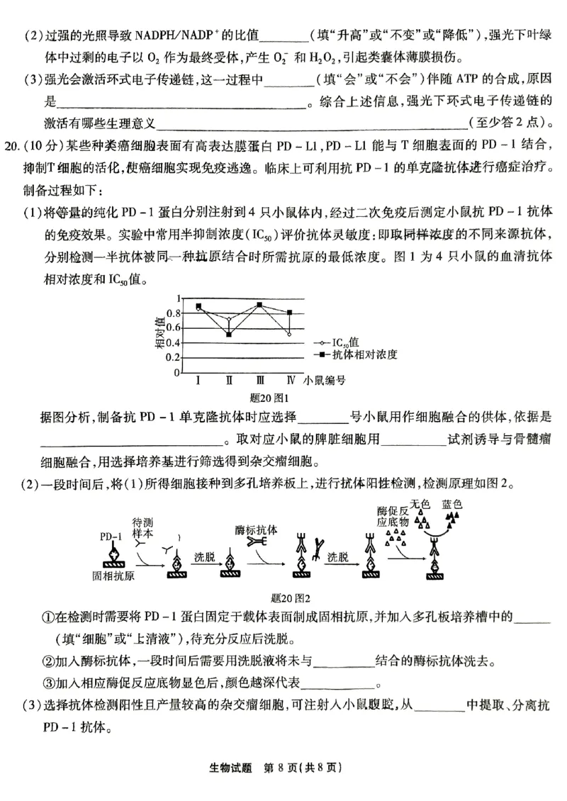 生物试卷_2024-2025高三（6-6月题库）_2024年09月试卷_0910重庆市南开中学校2024-2025学年高三上学期第一次质量检测_重庆市南开中学校2024-2025学年高三上学期第一次质量检测生物