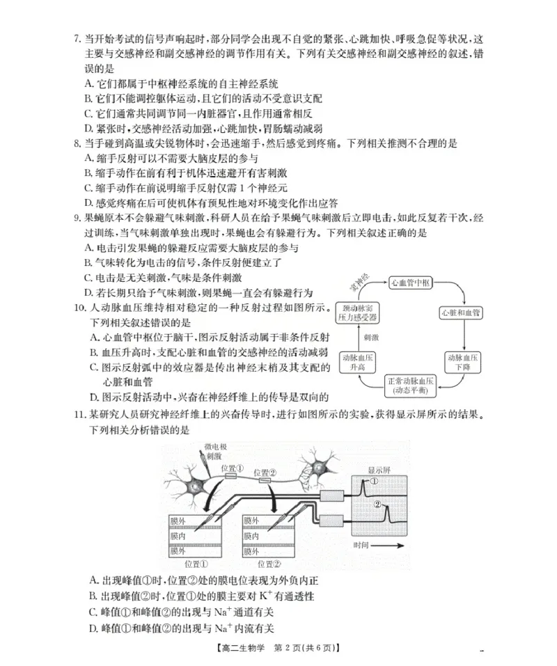 新疆2027届高二上学期11月联考（26-70B）生物_2025年11月高二试卷_251125金太阳&middot;新疆2027届高二上学期11月联考（26-70B）（全）