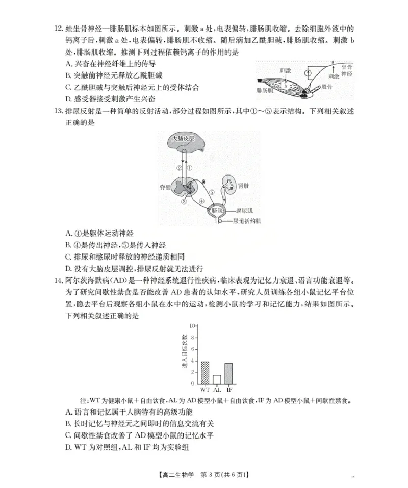 新疆2027届高二上学期11月联考（26-70B）生物_2025年11月高二试卷_251125金太阳&middot;新疆2027届高二上学期11月联考（26-70B）（全）