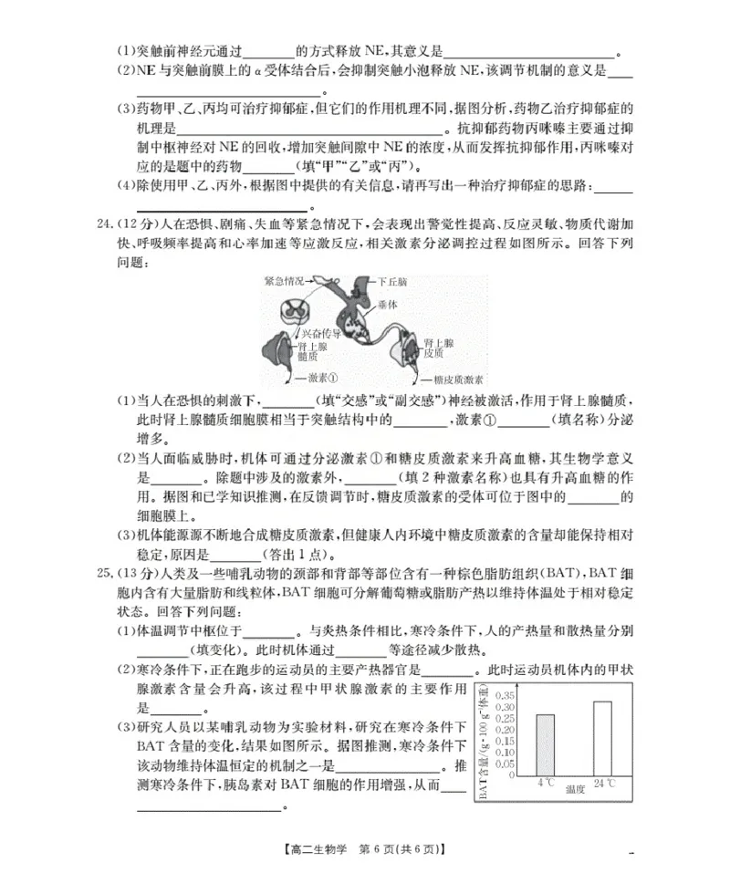新疆2027届高二上学期11月联考（26-70B）生物_2025年11月高二试卷_251125金太阳&middot;新疆2027届高二上学期11月联考（26-70B）（全）
