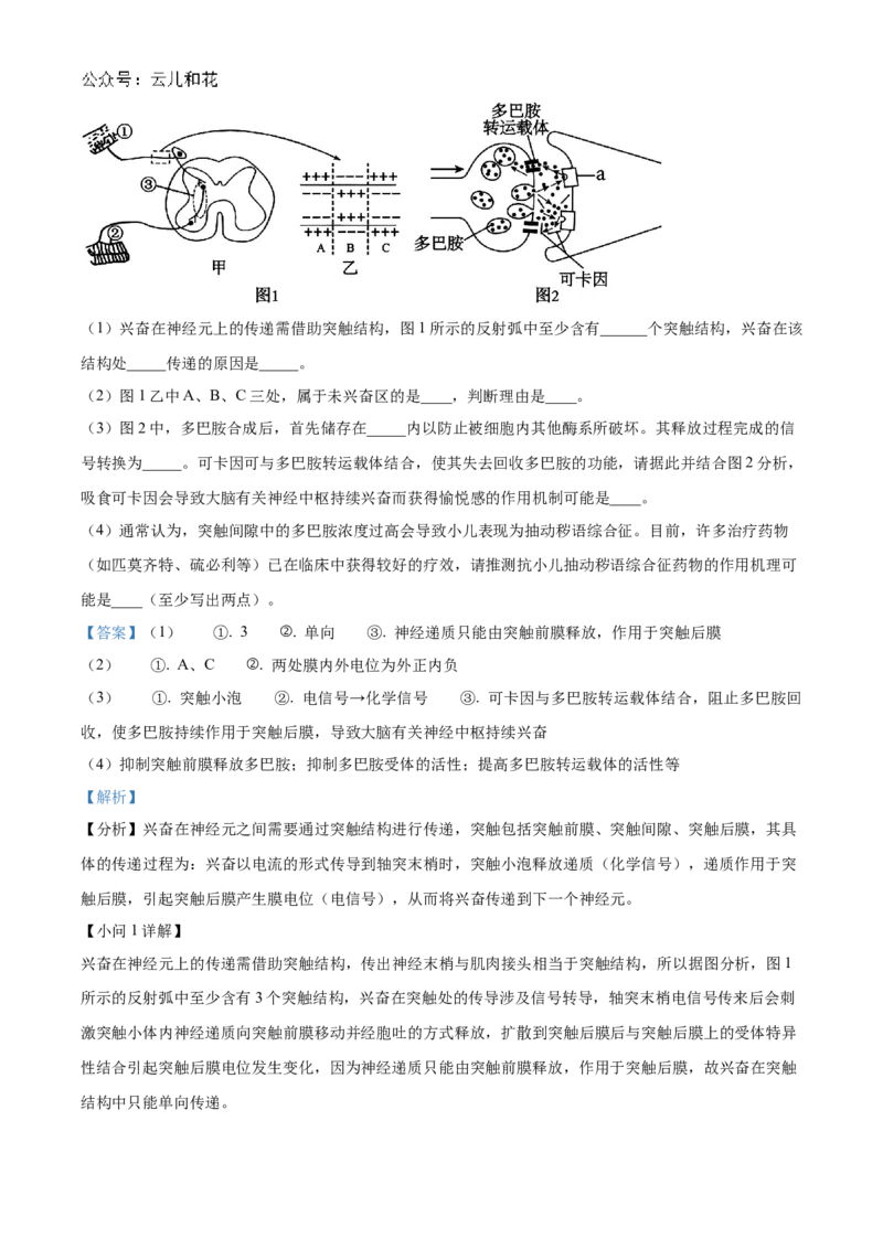 福建省福州市9校2024-2025学年高二上学期11月期中生物试题Word版含解析_2024-2025高二（7-7月题库）_2024年12月试卷_1206福建省福州市福九联盟2024-2025学年高二上学期11月期中联考试题