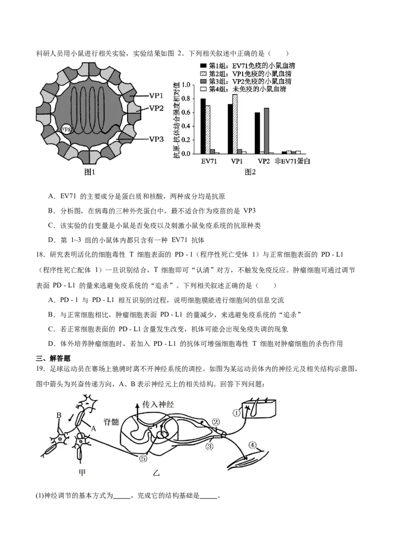 河北省沧州市多校联考2025-2026学年高二上学期第二次月考试题生物Word版含答案_2025年11月高二试卷_251124河北省沧州市多校联考2025-2026学年高二上学期第二次月考