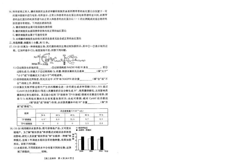 贵州金太阳2024-2025学年高三上学期9月开学联考（25-27C）生物+答案_2024-2025高三（6-6月题库）_2024年09月试卷_0916贵州金太阳2024-2025学年高三上学期9月开学联考（25-27C）（25-28C）