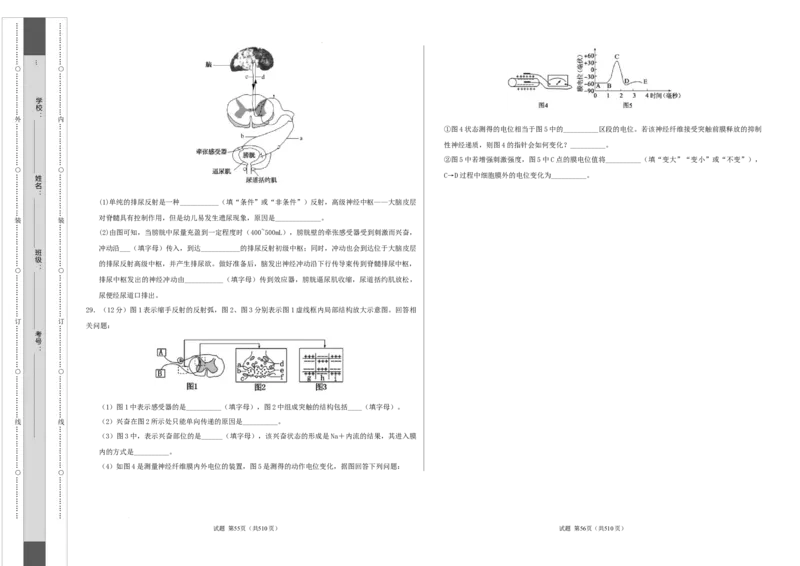 高二生物第一次月考卷（考试版A3）测试范围：第1-2章（人教版2019）_2024-2025高二（7-7月题库）_2024年09月试卷