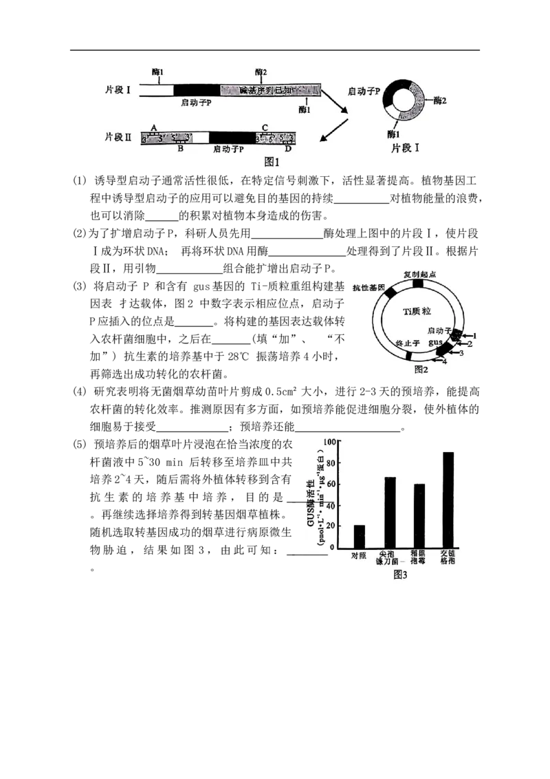 诸暨市高三诊断性考试生物试题_2024-2025高三（6-6月题库）_2024年12月试卷_1210浙江省绍兴市诸暨市2025届高三上学期12月诊断性考试（一模）
