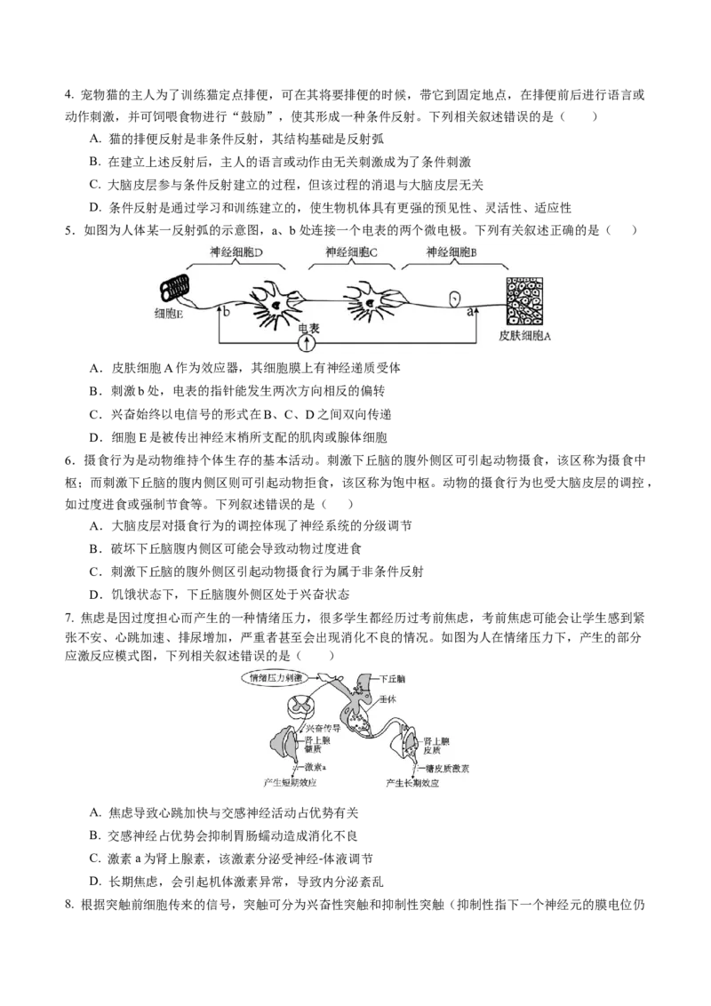 福建省厦泉五校2025-2026学年高二上学期期中联考试题生物Word版含答案_251211福建省厦泉五校2025-2026学年高二上学期期中联考试题（全）