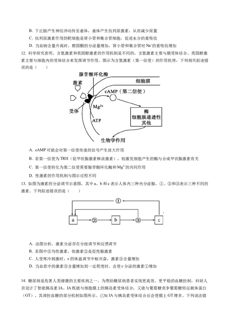 福建省厦泉五校2025-2026学年高二上学期期中联考试题生物Word版含答案_251211福建省厦泉五校2025-2026学年高二上学期期中联考试题（全）
