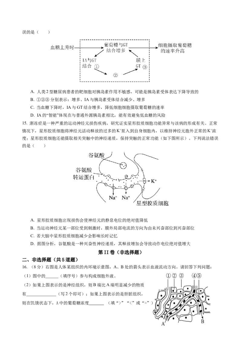 福建省厦泉五校2025-2026学年高二上学期期中联考试题生物Word版含答案_251211福建省厦泉五校2025-2026学年高二上学期期中联考试题（全）