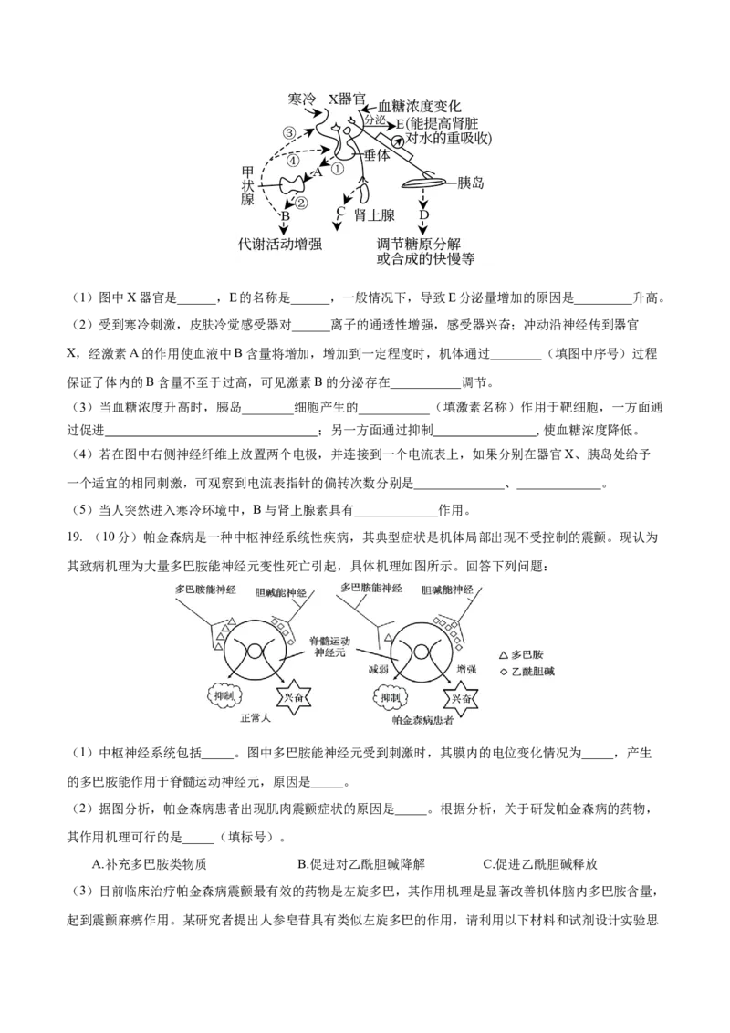 福建省厦泉五校2025-2026学年高二上学期期中联考试题生物Word版含答案_251211福建省厦泉五校2025-2026学年高二上学期期中联考试题（全）