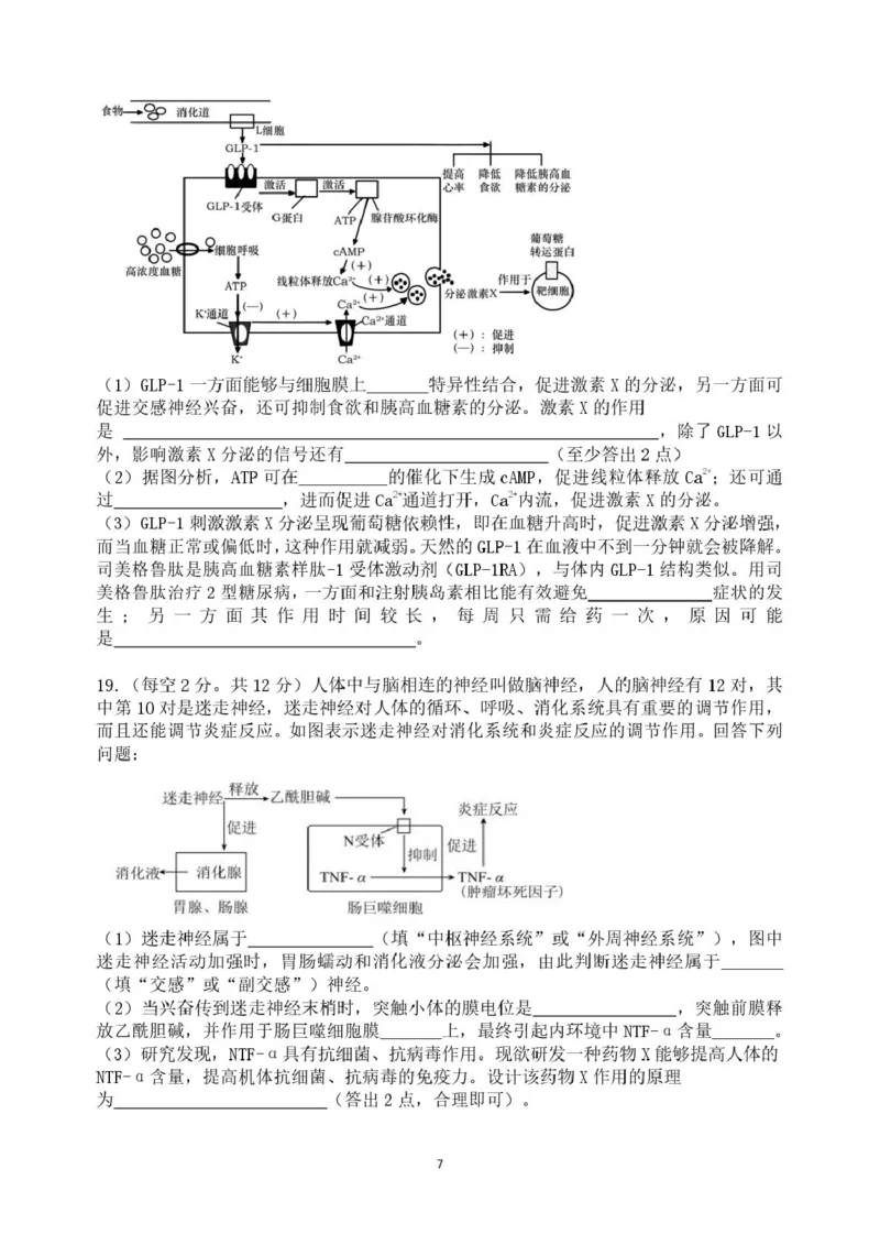重庆市复旦中学教共体2025-2026学年高二上学期12月定时作业生物试题_2024-2025高二（7-7月题库）_2026年1月高二_260103重庆市复旦中学教共体2025-2026学年高二上学期12月月考（全）