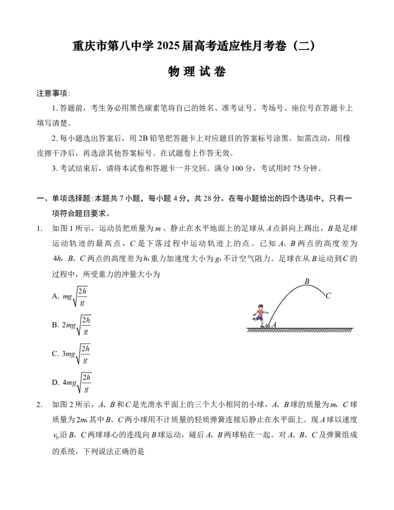 重庆市第八中学2025届高考适应性月考卷（二）物理_2024-2025高三（6-6月题库）_2024年10月试卷_1028重庆市第八中学2025届高考适应性月考卷（二）