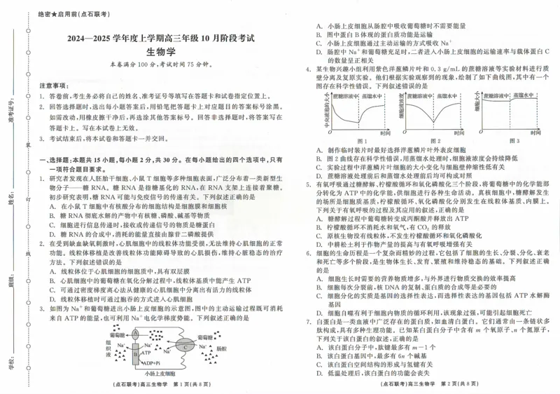 辽宁省点石联考2024-2025学年度上学期高三年级10月阶段考试生物试题_2024-2025高三（6-6月题库）_2024年10月试卷_1011辽宁省点石联考2024-2025学年度上学期高三年级10月阶段考试