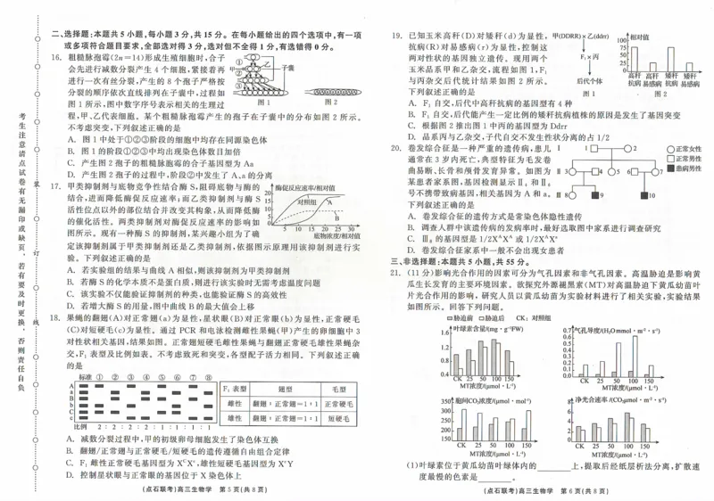 辽宁省点石联考2024-2025学年度上学期高三年级10月阶段考试生物试题_2024-2025高三（6-6月题库）_2024年10月试卷_1011辽宁省点石联考2024-2025学年度上学期高三年级10月阶段考试