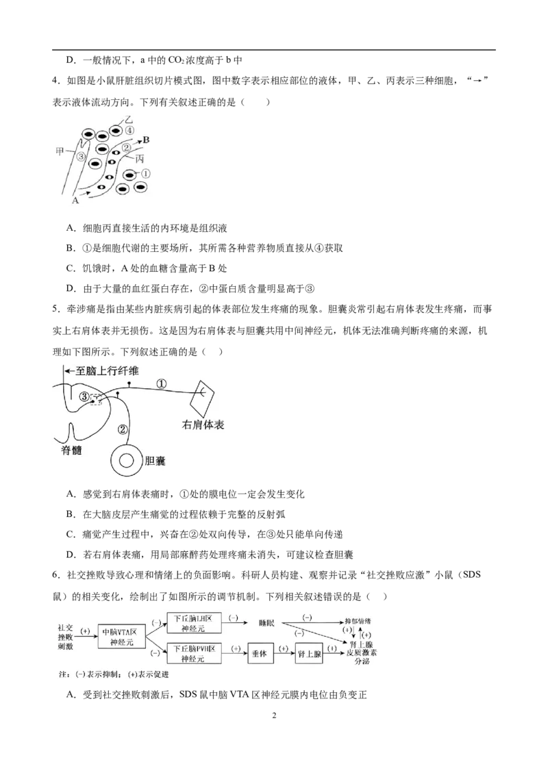 重庆市长寿中学校2025-2026学年高二上学期11月期中生物试题（有答案）_2025年11月高二试卷_251126重庆市长寿中学2025-2026学年高二上学期11月期中（全）