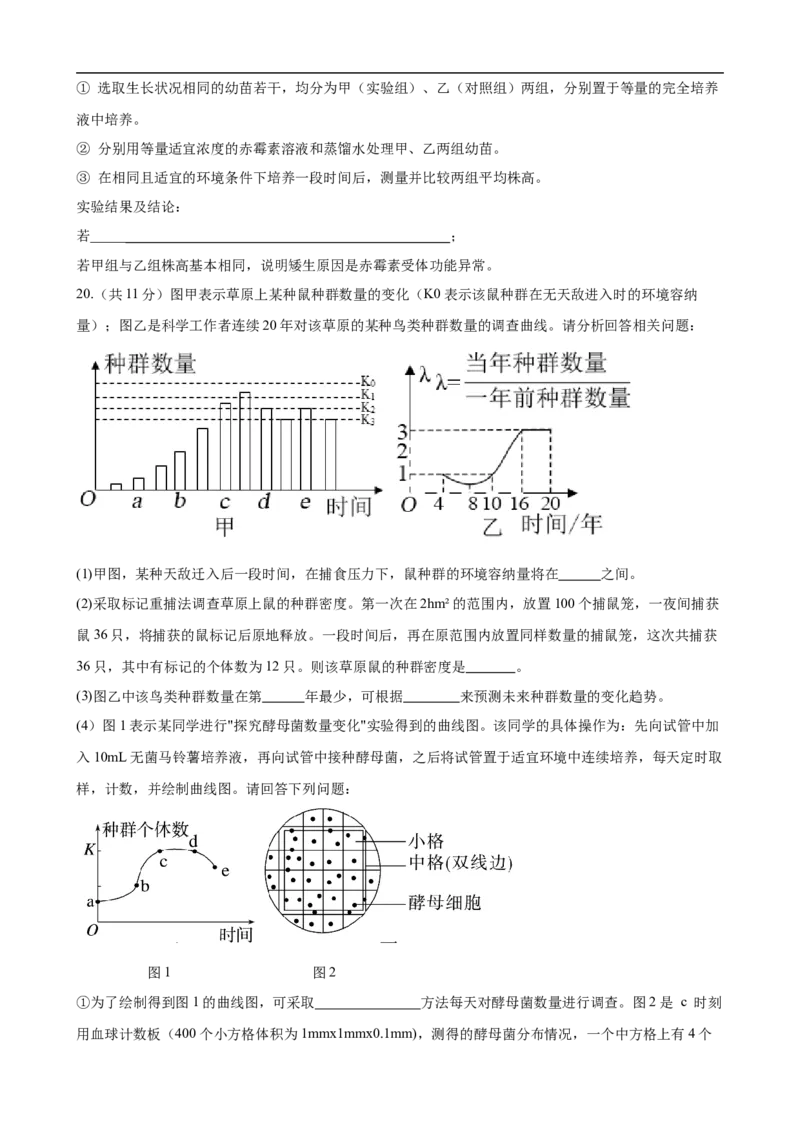 重庆市长寿中学校2025-2026学年高二上学期11月期中生物试题（有答案）_2025年11月高二试卷_251126重庆市长寿中学2025-2026学年高二上学期11月期中（全）