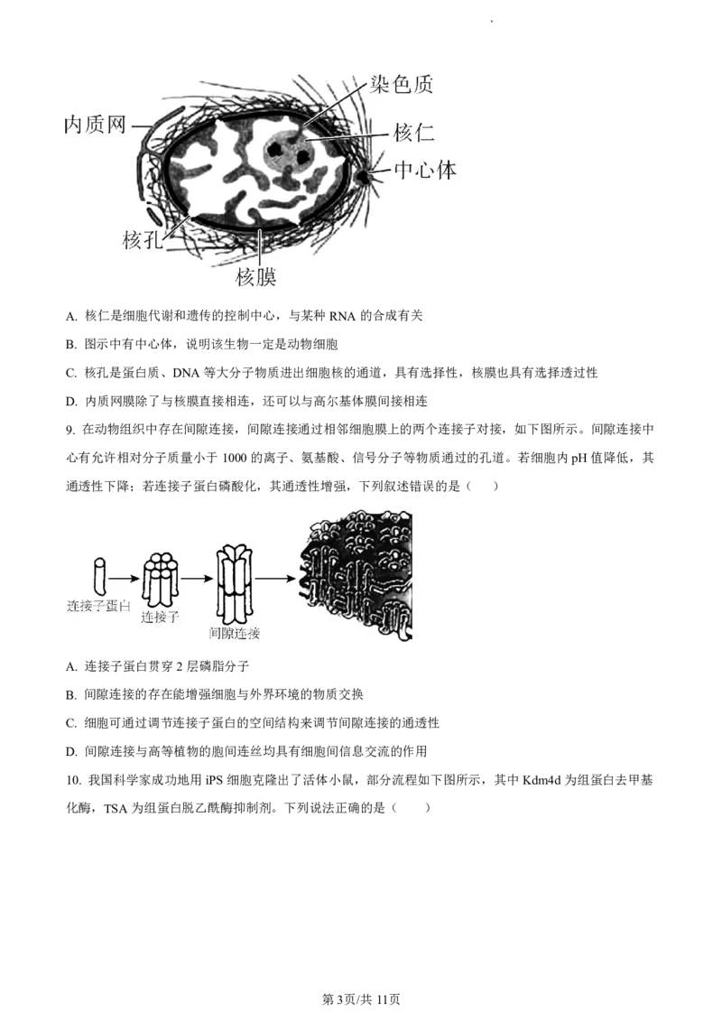 精品解析：福建省福州市九县（市、区）一中2023-2024学年高二下学期7月期末生物试题（原卷版）_2024-2025高二（7-7月题库）_2024年07月试卷