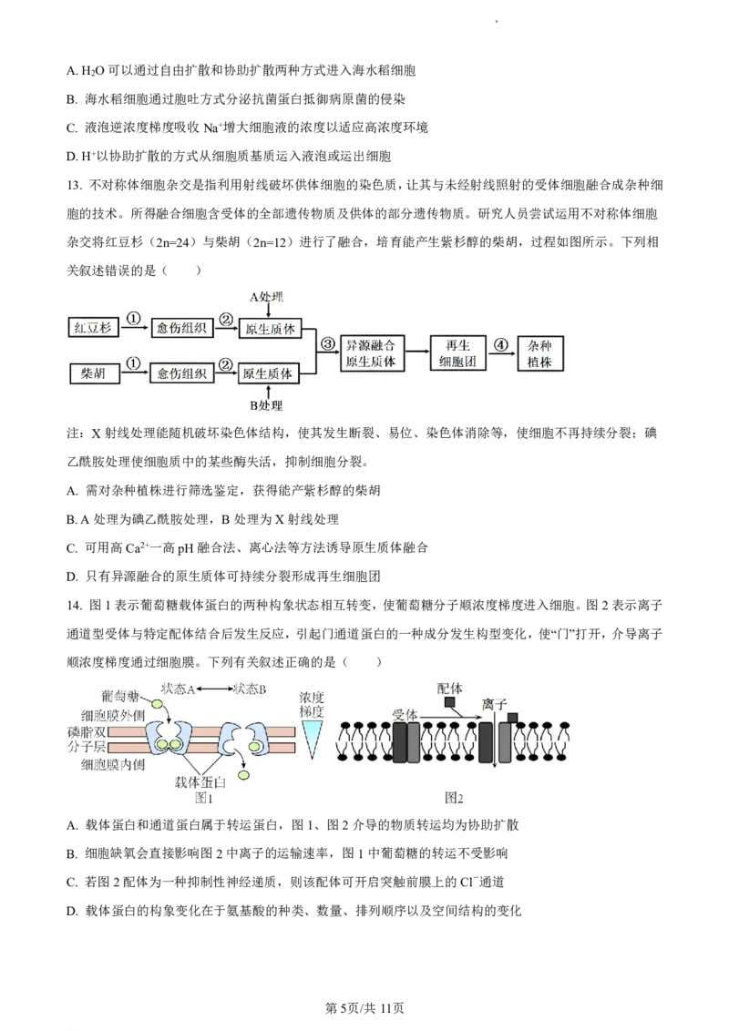 精品解析：福建省福州市九县（市、区）一中2023-2024学年高二下学期7月期末生物试题（原卷版）_2024-2025高二（7-7月题库）_2024年07月试卷
